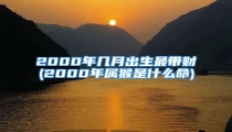 2000年几月出生最带财(2000年属猴是什么命)