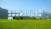 新注册公司核名步骤(企业变更名字核名流程)