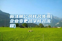 新注册公司核名步骤(企业变更名字核名流程)