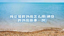 梅花易数外应怎么用(神奇的外应断事一例)