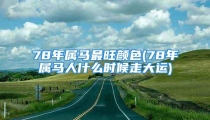 78年属马最旺颜色(78年属马人什么时候走大运)