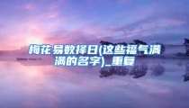 梅花易数择日(这些福气满满的名字)_重复