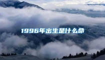 1996年出生是什么命