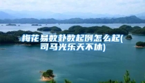 梅花易数卦数起例怎么起(司马光乐天不休)