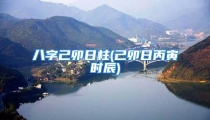 八字己卯日柱(己卯日丙寅时辰)