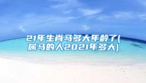21年生肖马多大年龄了(属马的人2021年多大)