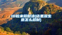 10粒米招财法(店里没生意怎么招财)
