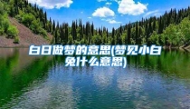 白日做梦的意思(梦见小白兔什么意思)
