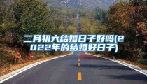 二月初六结婚日子好吗(2022年的结婚好日子)