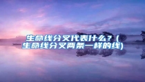 生命线分叉代表什么?(生命线分叉两条一样的线)