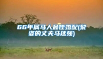 66年属马人最佳婚配(黎姿的丈夫马延强)