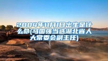 2004年11月1日出生是什么命(马国强当选湖北省人大常委会副主任)