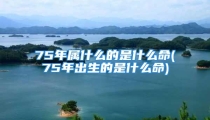75年属什么的是什么命(75年出生的是什么命)
