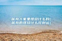 属狗人家里摆放什么好(属狗的摆放什么旺财运)