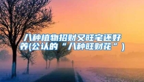 八种植物招财又旺宅还好养(公认的“八种旺财花”)