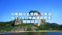 71年属什么生肖 今年多大了(1971年属猪的男生婚姻状况)