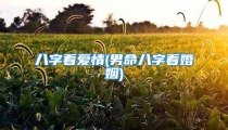 八字看爱情(男命八字看婚姻)