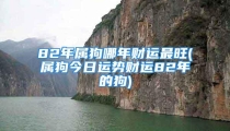 82年属狗哪年财运最旺(属狗今日运势财运82年的狗)