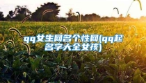 qq女生网名个性网(qq起名字大全女孩)