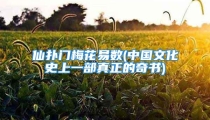 仙扑门梅花易数(中国文化史上一部真正的奇书)