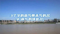 3个字的霸气带杀气的名字(霸气的侠客名)