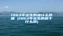 1963年出生的是什么命格 (1963年出生的属于什么命)