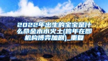 2022年出生的宝宝是什么命金木水火土(跨年在即机构博弈加剧)_重复