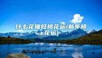 什么花催旺桃花运(新年桃花运)