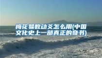 梅花易数动爻怎么用(中国文化史上一部真正的奇书)