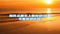 如何从眉毛上看寿命(从眉毛看寿命长短)