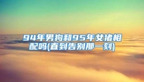 94年男狗和95年女猪相配吗(直到告别那一刻)