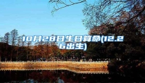 10月28日生日算命(12.26出生)