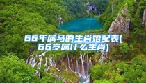 66年属马的生肖婚配表(66岁属什么生肖)