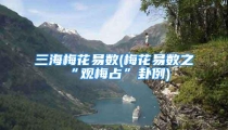 三海梅花易数(梅花易数之“观梅占”卦例)