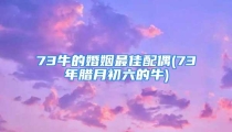 73牛的婚姻最佳配偶(73年腊月初六的牛)