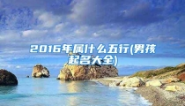 2016年属什么五行(男孩起名大全)