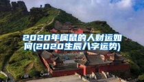 2020年属鼠的人财运如何(2020生辰八字运势)