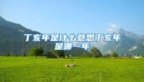 丁亥年是什么意思丁亥年是哪一年