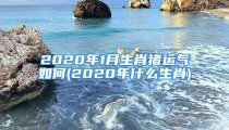2020年1月生肖猪运气如何(2020年什么生肖)