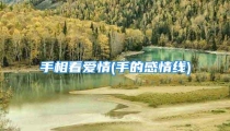 手相看爱情(手的感情线)