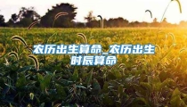 农历出生算命_农历出生时辰算命