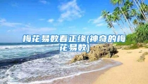 梅花易数看正缘(神奇的梅花易数)