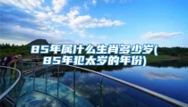 85年属什么生肖多少岁(85年犯太岁的年份)