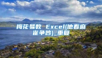 梅花易数 Excel(他看麻雀争吵)_重复