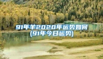 91年羊2020年运势如何(91年今日运势)