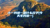 十一月初一是什么日子(今天冬月初一)