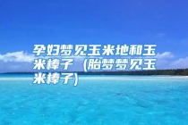 孕妇梦见玉米地和玉米棒子 (胎梦梦见玉米棒子)