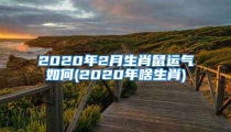 2020年2月生肖鼠运气如何(2020年啥生肖)