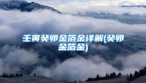 壬寅癸卯金箔金详解(癸卯金箔金)