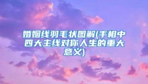 婚姻线羽毛状图解(手相中四大主线对你人生的重大意义)